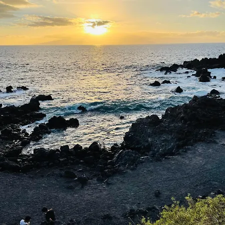 아파트 Alta Mar En Oasis Tenerife Sur